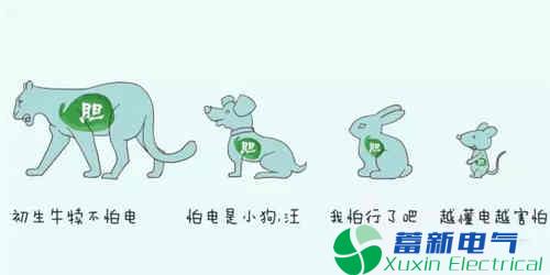 正弦波逆变电源-光伏人该如何爱惜自己的身体？